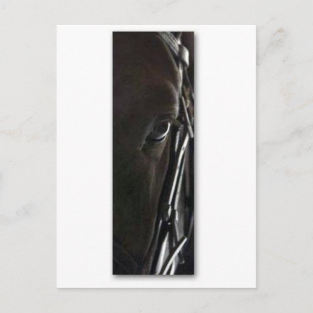 Postal caballo negro (Anverso)