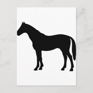 Postal caballo negro - caballos