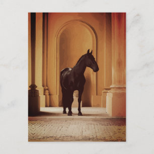 Postal Caballo Negro Elegante en Arco Dorado
