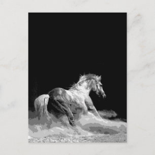 Postal Caballo negro y blanco en acción