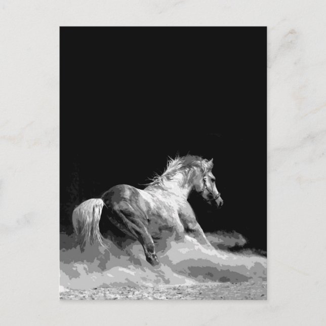 Postal Caballo negro y blanco en acción (Anverso)