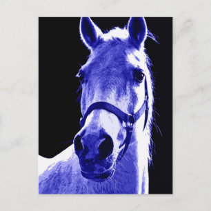 Postal Caballo nocturno