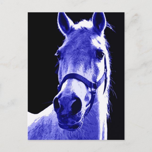 Postal Caballo nocturno (Anverso)