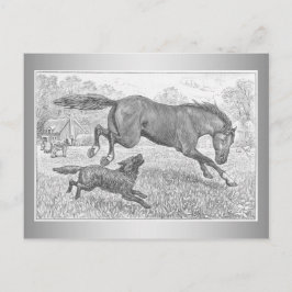 Postal Caballo oscuro y perro