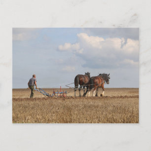 Postal Caballo Paseando: Gran Feria de Vapor Dorset