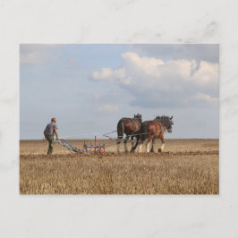 Postal Caballo Paseando: Gran Feria de Vapor Dorset