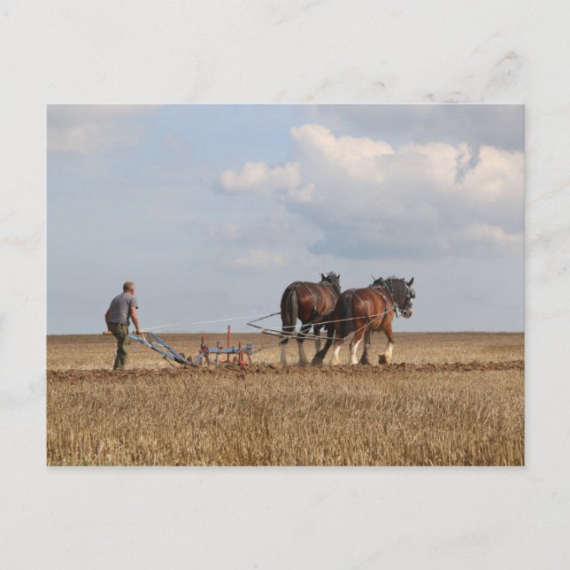 Postal Caballo Paseando: Gran Feria de Vapor Dorset (Anverso)