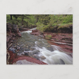 Postal Caballo perdido en el Parque Nacional de los Lagos
