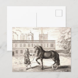 Postal Caballo PRE andaluz - Grabado español vintage