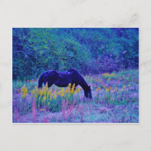 Postal Caballo púrpura en el campo Arcoiris