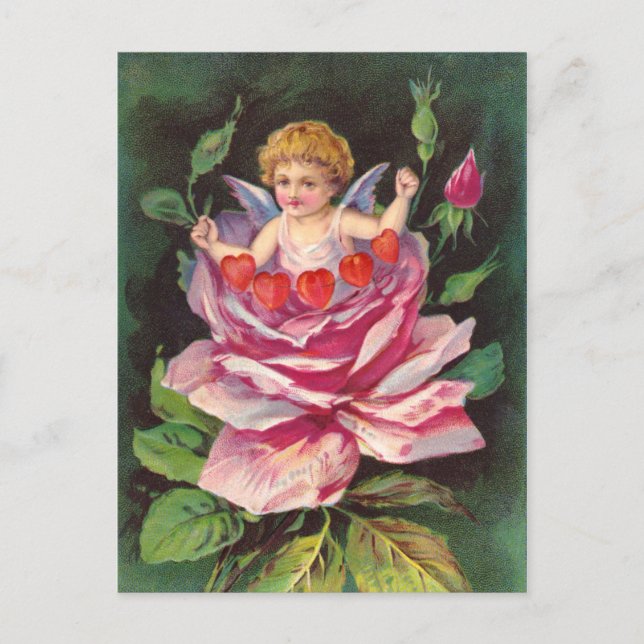 Postal Caballo: Rosa de Cherub flor (Anverso)