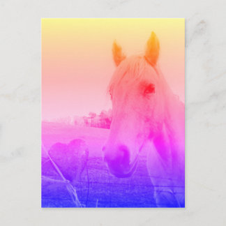 Postal Caballo rosa morado y corazón