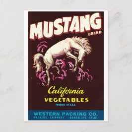 Postal Caballo salvaje de Mustang Guadalupe Verduras de C