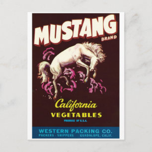 Postal Caballo salvaje de Mustang Guadalupe Verduras de C