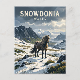 Postal Caballo salvaje en Snowdonia Reino Unido