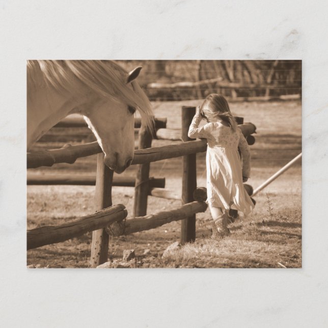 Postal Caballo Sepia Negro y Blanco y Niño (Anverso)