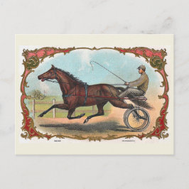 Postal Caballo Sobre Ruedas Carreras De Caballo Vintage