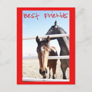 Postal Caballo Valentin IV