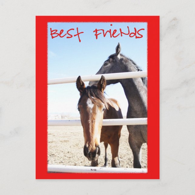 Postal Caballo Valentin IV (Anverso)