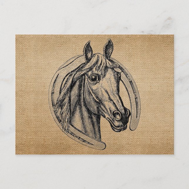 Postal Caballo Vintage (Anverso)