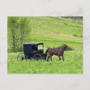 Postal Caballo y buggy Amish cerca de Berlín, Ohio.