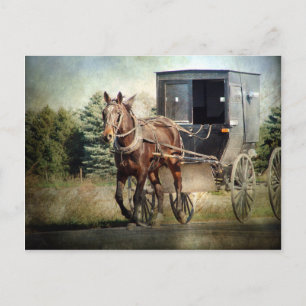 Postal Caballo y buggy en la zona rural de Iowa