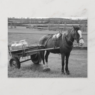 Postal Caballo y carreta