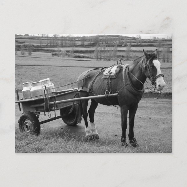 Postal Caballo y carreta (Anverso)