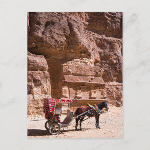 Postal Caballo y carro en Petra