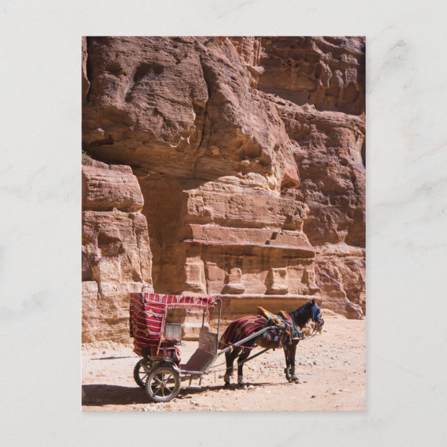 Postal Caballo y carro en Petra (Anverso)