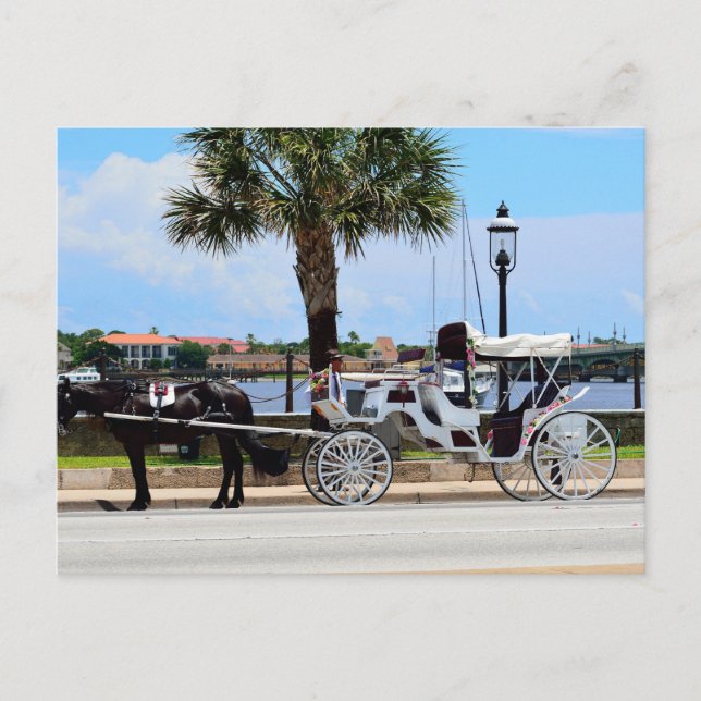 Postal Caballo y carruaje St. Augustine, Fl. (Anverso)
