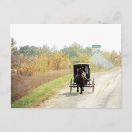 Postal Caballo y cochecillo de Amish del otoño