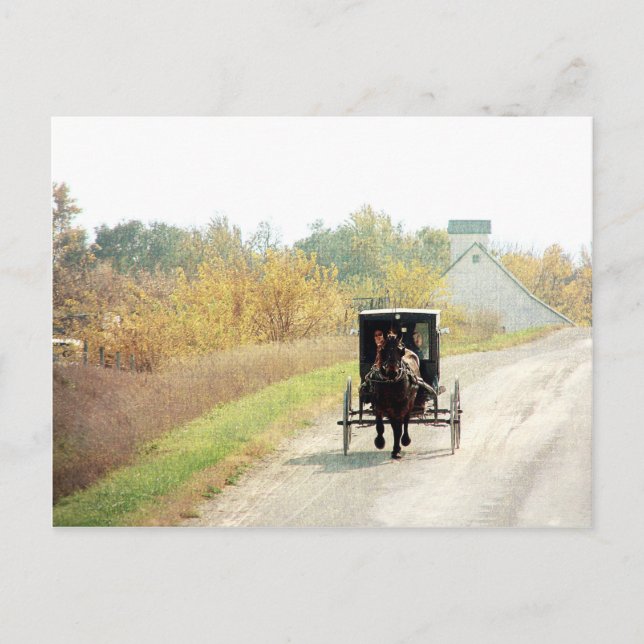 Postal Caballo y cochecillo de Amish del otoño (Anverso)