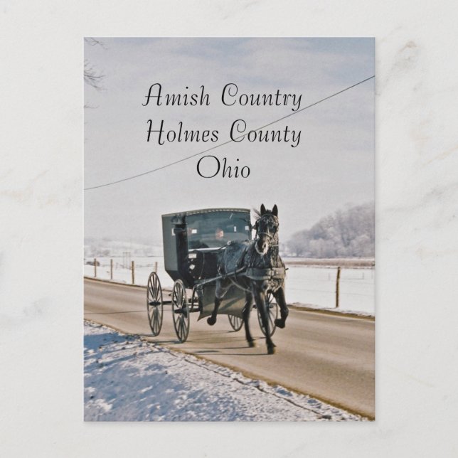 Postal Caballo y Con errores-Postal del país de Amish (Anverso)