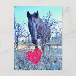 Postal Caballo y Corazón
