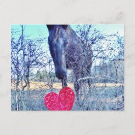 Postal Caballo y Corazón