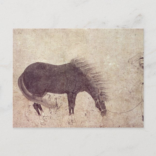 Postal Caballo y crecimiento en invierno (Anverso)