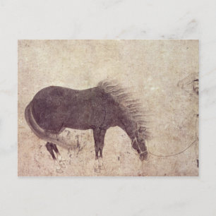 Postal Caballo y crecimiento en invierno