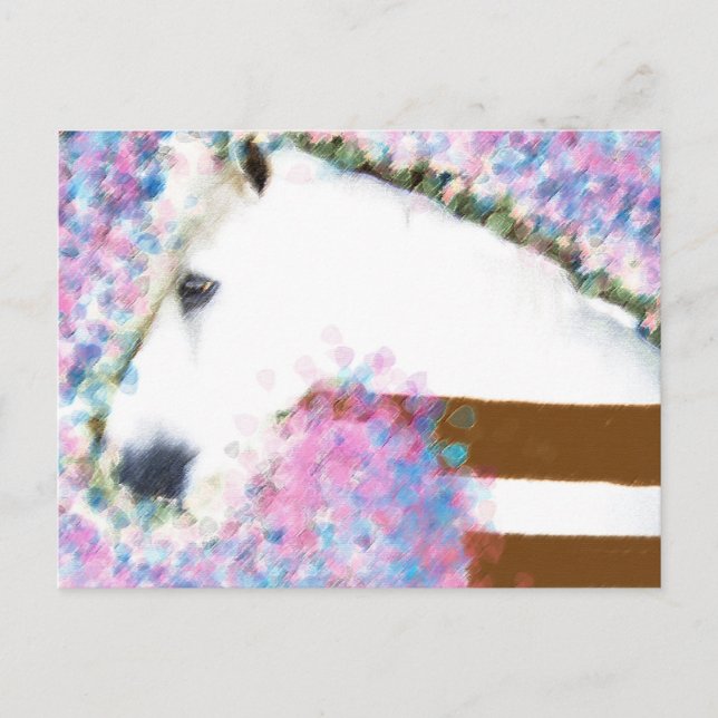 Postal Caballo y floral (Anverso)