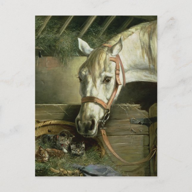Postal Caballo y gatitos, 1890 (Anverso)