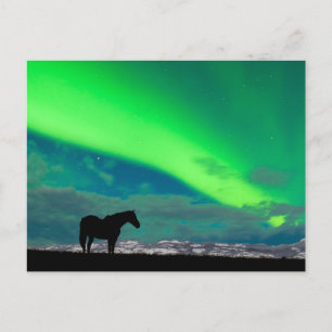 Postal Caballo y luces del norte, Yukón