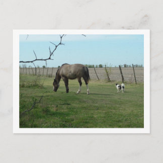 Postal caballo y perro