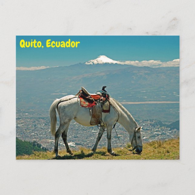 Postal Caballo y volcán, Quito, Ecuador (Anverso)
