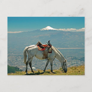 Postal Caballo y volcán, Quito, Ecuador