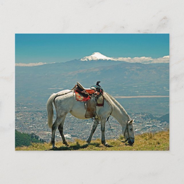 Postal Caballo y volcán, Quito, Ecuador (Anverso)