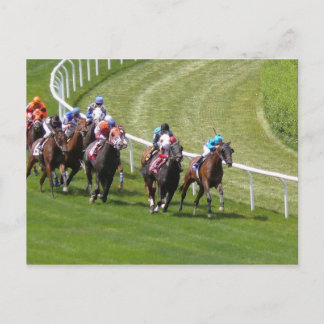 Postal Caballos