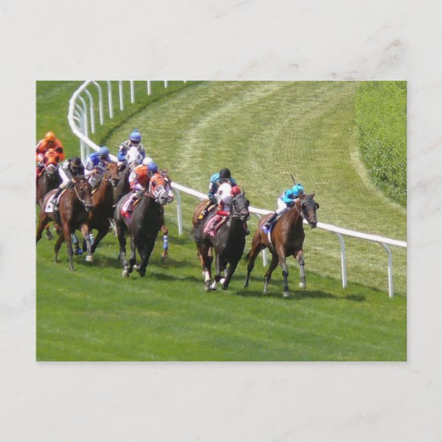 Postal Caballos (Anverso)