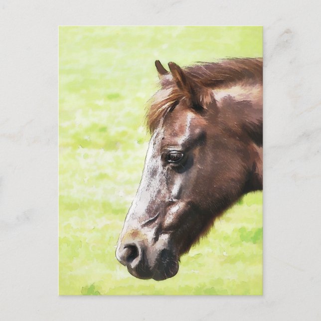 POSTAL CABALLOS (Anverso)