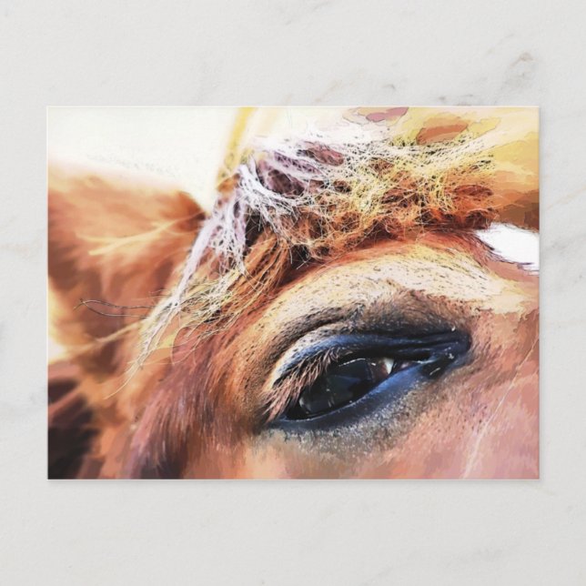 POSTAL CABALLOS (Anverso)