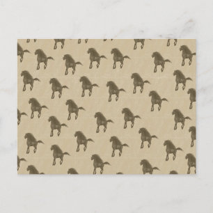Postal Caballos